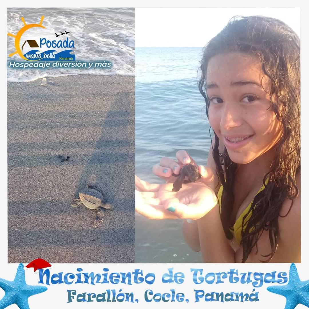 Posada Mama Bella Playa Blanca  Bagian luar foto