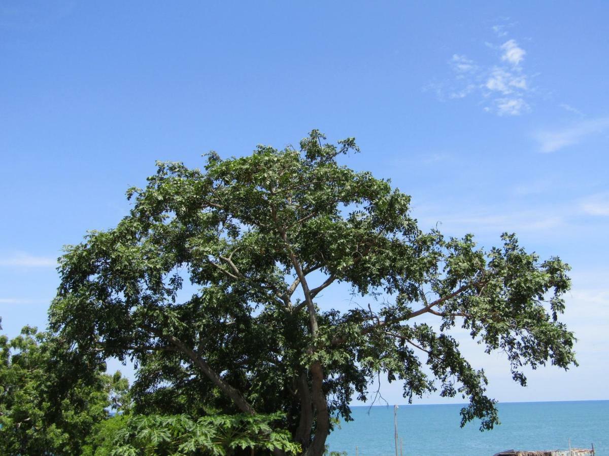 Posada Mama Bella Playa Blanca  Bagian luar foto